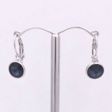 Load image into Gallery viewer, Elegant Crystal Leverback Drop Earrings #E7158