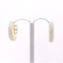 Load image into Gallery viewer, Sparkling Pave Crystal Hoop Earrings #CE329

