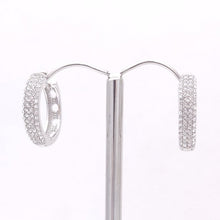 Load image into Gallery viewer, Sparkling Pave Crystal Hoop Earrings #CE329
