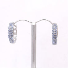 Load image into Gallery viewer, Sparkling Pave Crystal Hoop Earrings #CE329
