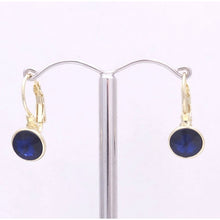 Load image into Gallery viewer, Elegant Crystal Leverback Drop Earrings #E7158
