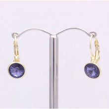 Load image into Gallery viewer, Elegant Crystal Leverback Drop Earrings #E7158
