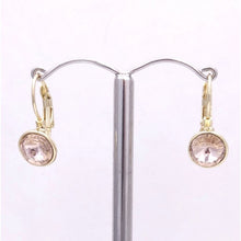 Load image into Gallery viewer, Elegant Crystal Leverback Drop Earrings #E7158

