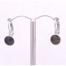 Load image into Gallery viewer, Elegant Crystal Leverback Drop Earrings #E7158

